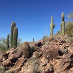 Profile Picture of Claudine Bell (@msflyin) on Instagram