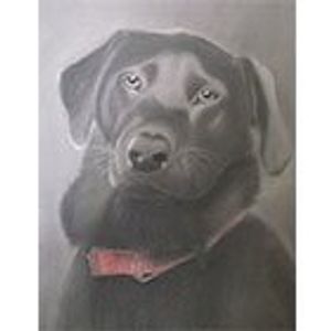 Profile Picture of Inge Lewis (@ingebear) on Myspace