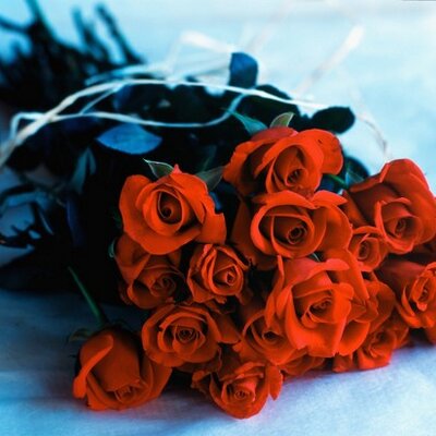Profile Picture of Karen LeFeber (@KarenLeFeber) on Twitter