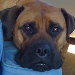 Profile Picture of Jon (@jonchickedantz) on Instagram