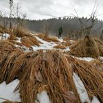 Profile Picture of Andreas heyn (@heynandreas) on Instagram