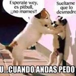 Profile Picture of teofilo perez Sánchez (@teofiloperezs) on Instagram