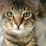 Profile Picture of Samuel Parra (@samuelparra12) on Instagram