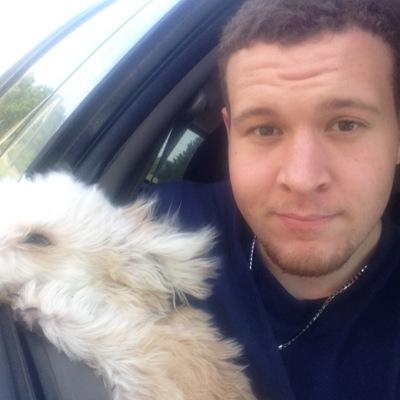 Profile Picture of Michael Shehan (@Audio_Spirit1) on Twitter