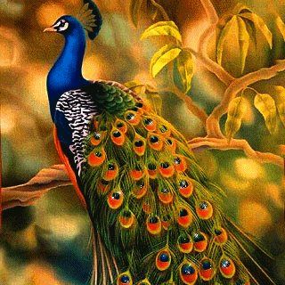 Profile Picture of Lisaebonet (@lisaebonet.lisaebonet) on Facebook