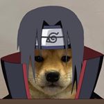 Profile Picture of quack.mov (@quack.mov) on Instagram