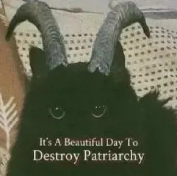 Profile Picture of David Frederickson (@leefred555) on Poshmark