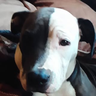 Profile Picture of Jay Louderback (@jaylouderback) on Instagram