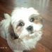 Profile Picture of Chantel Roberts (@chantel.roberts.3597) on Facebook