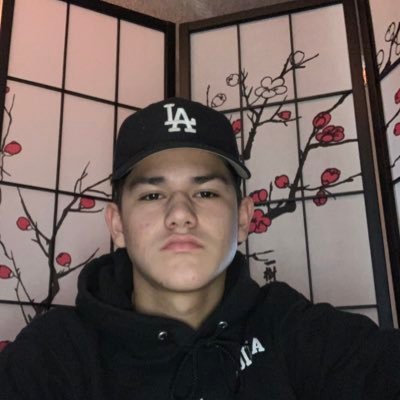 Profile Picture of Jose Loaiza (@Jose_loaiza16) on Twitter
