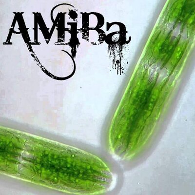 Profile Picture of Michael R Baier (@AMiBa_Music) on Twitter