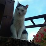 Profile Picture of paula sengfelder (@paulasengfelder) on Instagram