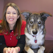 Profile Picture of Tammy Stevenson, DVM, CVCP, CCRT (@AdvancedPetCare) on Youtube