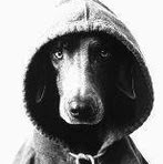 Profile Picture of Randall J Archambeault (@randall.archambeault) on Facebook