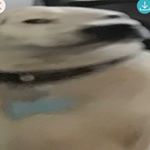 Profile Picture of Clarkburns2008! (@clarkburns11) on Instagram