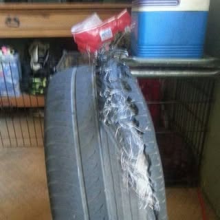 Profile Picture of Tracey Brooks (@tracey_brooks) on Instagram