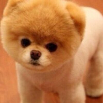 Profile Picture of Paulette Glover (@PauletteGlove13) on Twitter