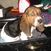 Profile Picture of Chris Daelick (@Chris-Daelick) on Facebook