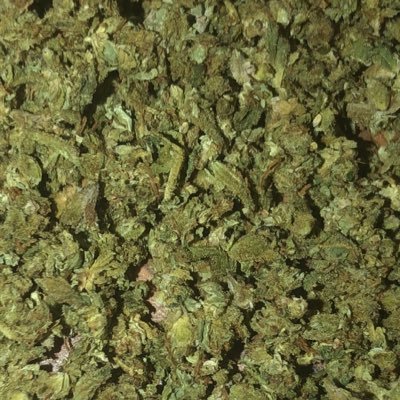 Profile Picture of Ben Schindler (@BenSchindler1) on Twitter