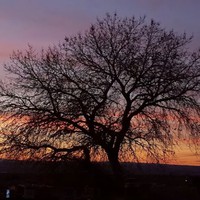 Profile Picture of Daniel Lindell (@daniel-lindell-4) on Quora