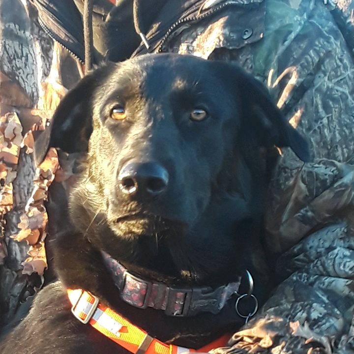 Profile Picture of Bridgett M (@bridgettmadison) on Tiktok