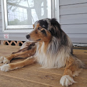 Profile Picture of Bob Pal (@saygelara9035) on Youtube