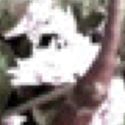 Profile Picture of Alex Madera (@jon_pierrer) on Twitter