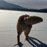 Profile Picture of Court Larabee (@courtlarabee) on Pinterest