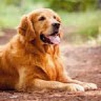 Profile Picture of Felix Aurnhammer (@felix-aurnhammer) on Quora