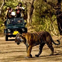 Profile Picture of Jim Corbett National Park (@CorbettTourism) on Twitter