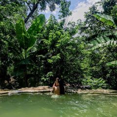 Profile Picture of Laura Pico (@laurapico1) on Tiktok