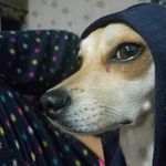 Profile Picture of Jacqueline (@nackiejava) on Instagram