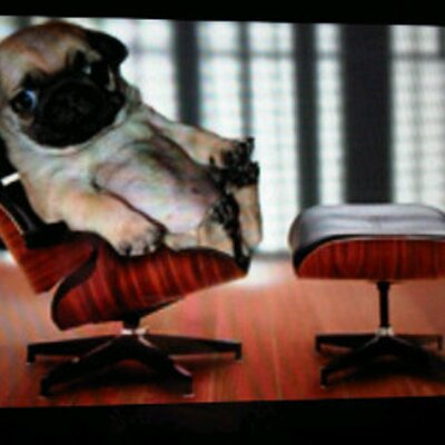 Profile Picture of Yfrog (@MichaelGaliano) on Twitter