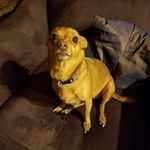 Profile Picture of James Fuquay (@james.fuquay.98) on Instagram