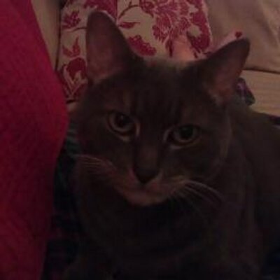 Profile Picture of Isabella R. (@Ibsabella) on Twitter