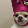 Profile Picture of Brandon_mcdonagh (@brandon_mcdonagh) on Tiktok