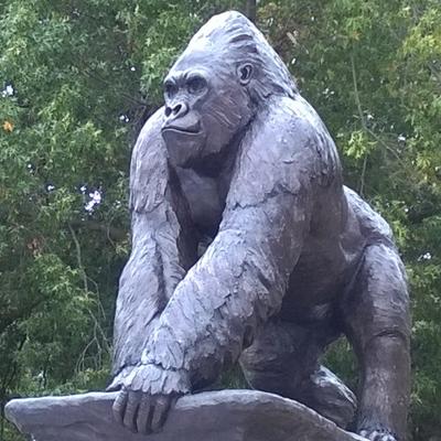 Profile Picture of Anthony Stonerock (@Stonerock04) on Twitter