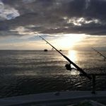 Profile Picture of Steve Tolley (@steve.tolley.566) on Instagram