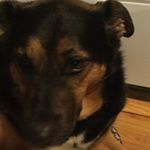 Profile Picture of Kyle Fagerlind (@kfagerlind) on Instagram