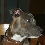 Profile Picture of Els Tromp (@els.t) on Instagram