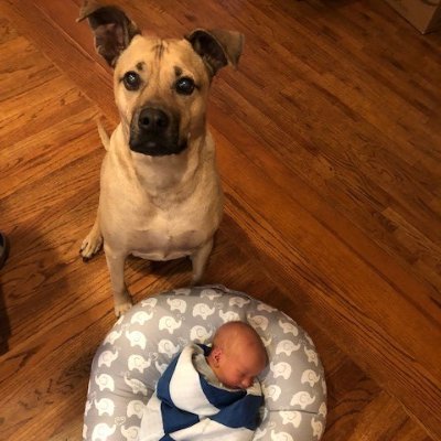 Jeff Stirling - Twitter Profile Picture of Jeff Stirling (@TheJeffStirling) on Twitter