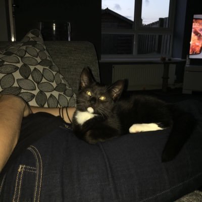 Profile Picture of James Oakes (@JamesOakes12) on Twitter