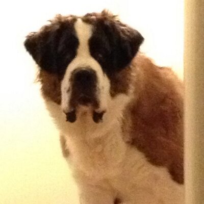 Profile Picture of Nick Stolp (@NicholasStolp) on Twitter