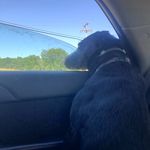 Profile Picture of Robert J VanWie (@robert_j_vanwie) on Instagram