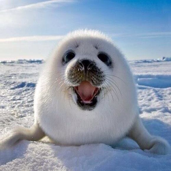 Profile Picture of Haley Hardy (@doeeyedbelle) on Poshmark