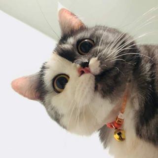 Profile Picture of James Atsawadet (@James-Atsawadet) on Facebook