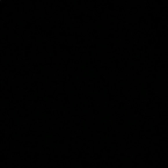 Profile Picture of Tara Nguyen (@taranguyen47) on Poshmark