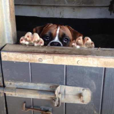 Profile Picture of John Holdsworth (@ReloadReggie) on Twitter