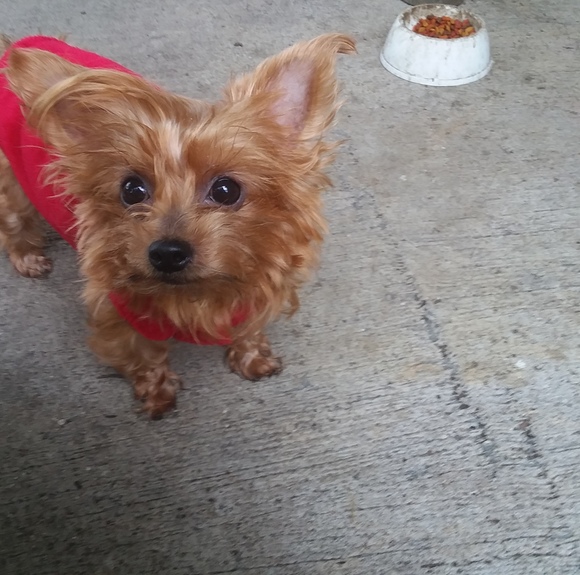 Profile Picture of Cathy Hendrix (@cathy_hendrix) on Poshmark