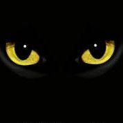 Profile Picture of Dunkel Schillern (@MarkAlterEgo1) on Twitter